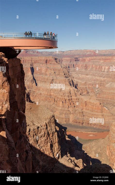 Skywalk In The Grand Canyon West Hualapai Nation Reservation Az Stock