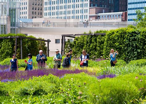 Lurie Garden Millennium Park Foundation