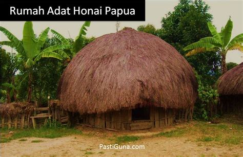 Keunikan Nama Rumah Adat Papua Beserta Gambar Dan Penjelasannya