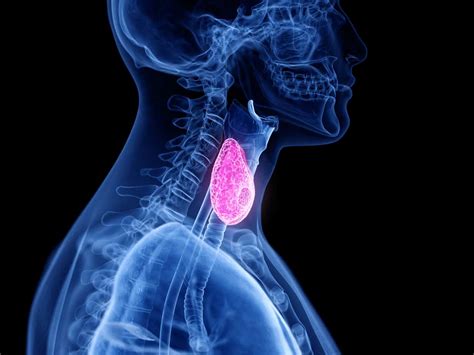 High Rates Of Thyroid Dysfunction Found In Children Treated With
