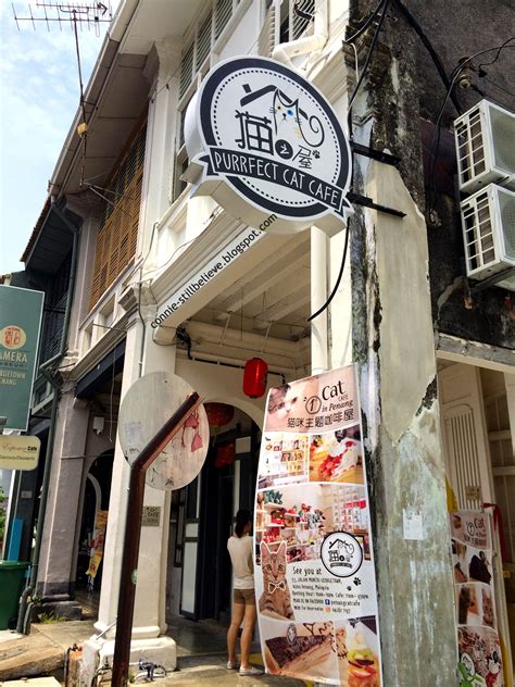 N.°94 de 1934 restaurantes en penang island. Purrfect Cat Cafe at Muntri Street, Georgetown, Penang ~ C ...