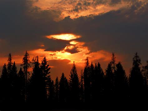 Free Images Nature Forest Cloud Sun Sunrise Sunset Countryside