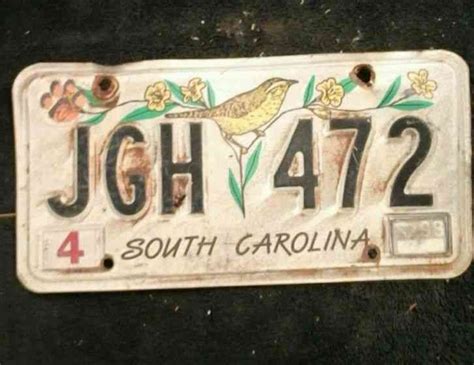 License Plate Tag South Carolina Vintage Rustic Usa