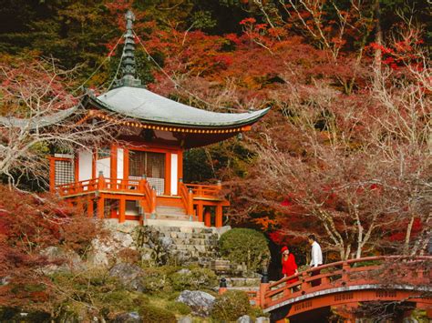 12 Cosas Que Hacer En Kioto Japón Viajardea2