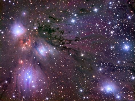 Apod 2007 February 28 Stars Dust And Nebula In Ngc 2170