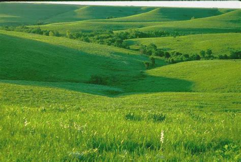 Creation - The Written Truth: GRASSLANDS, STEPPES, PLAINS AND PRAIRIES ...
