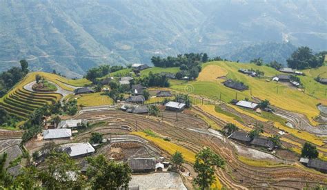 Asian Village Landscape In A Rural Area With Paddy Field Stock Photo