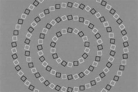 Optical Illusion दिमाग को घुमाकर रख देती है ये तस्वीर 4 सर्कल के खेल