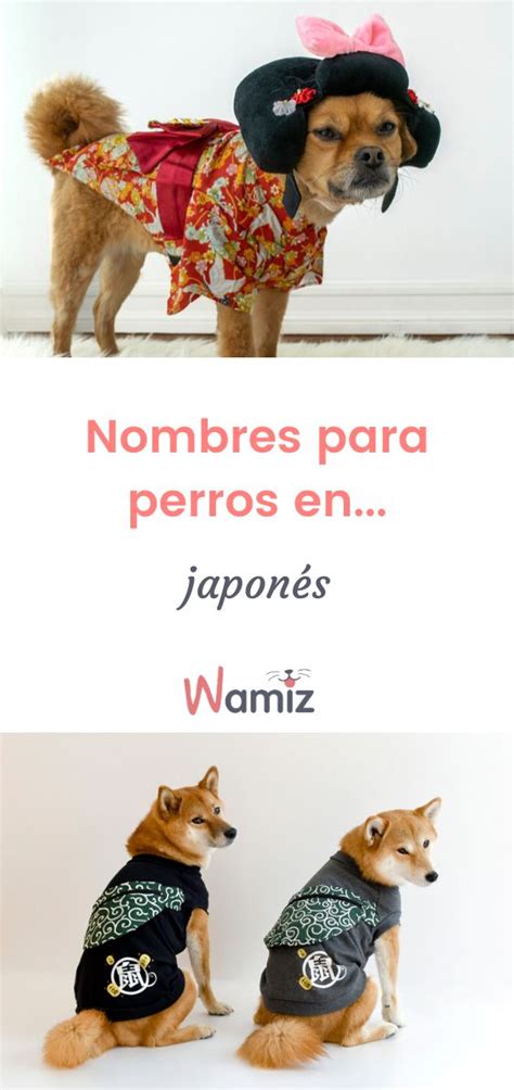 Maybe you would like to learn more about one of these? Nombres para perros en japonés en 2020 | Nombres de perros ...