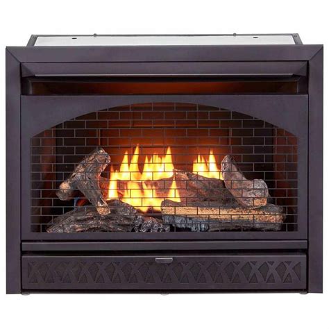 Procom 26 000 Btu Vent Free Dual Fuel Propane And Natural Gas Indoor Fireplace Insert With T