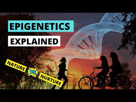 Epigenetics Explained Simply Nature Vs Nurture Youtube