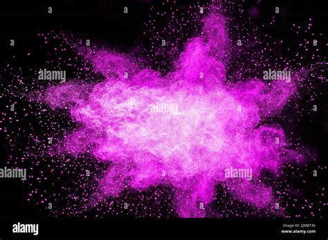 Purple Color Powder Explosion Cloud On Black Backgroundcloseup Of Purple Dust Particles Splash
