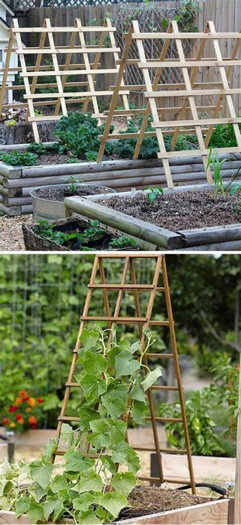 22 Easy and Cheap DIY Garden Trellis Ideas You Should Try