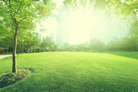 But with the right company, the answer is easy. How Lawn Care Services Can Add Value to Your Oklahoma City Homes - Watson's Weed Control