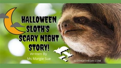 Halloween Sloths Scary Night Story By Ms Margie Sue Sloth Of The Day