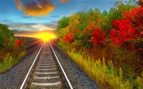 Railroad Track In Autumn