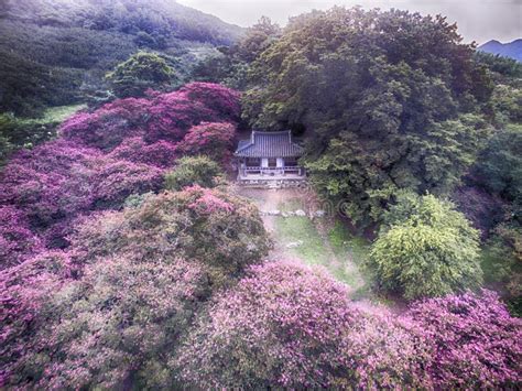 Korean Tradition House Myeongokheon Garden , Damyang, Jeollanamdo, South Korea Stock Photo ...