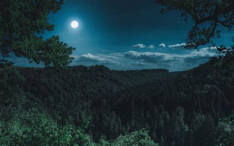 Download Wallpaper 1680x1050 Forest Mountains Moon Clouds Widescreen