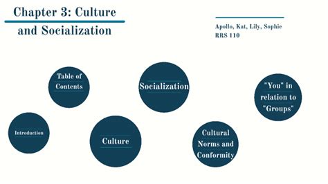 Chapter 3 Culture And Socialization By Apollo Ti