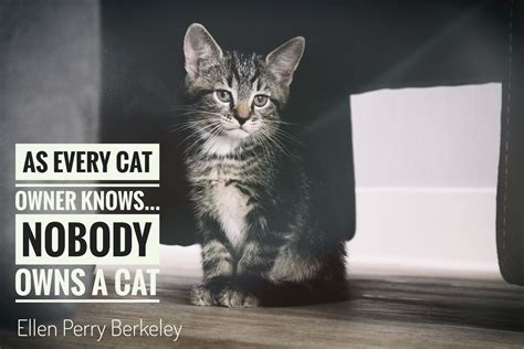 We Love Our Cat Quotes Cat Quotes Cats Cat Parenting