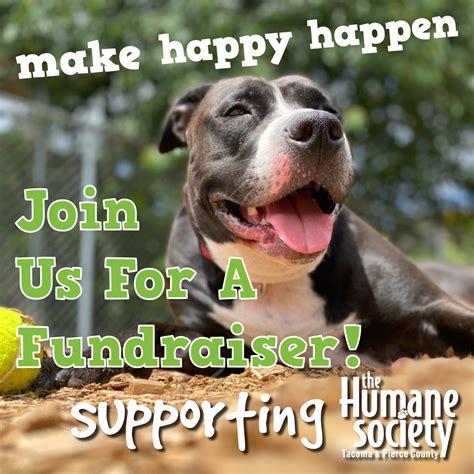 Host A Fundraiser The Humane Society For Tacoma Pierce County