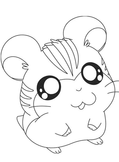 Hamster Coloring Pages Preschool Print Coloring Image Momjunction