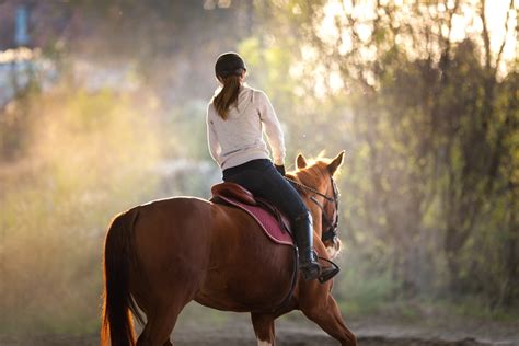 Life Lessons To Learn From Horse Riding