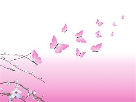 47 Animated Butterfly Wallpaper Wallpapersafari