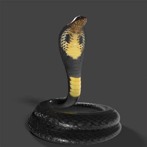 Top 151 Imagenes De Cobras En 3d Destinomexicomx