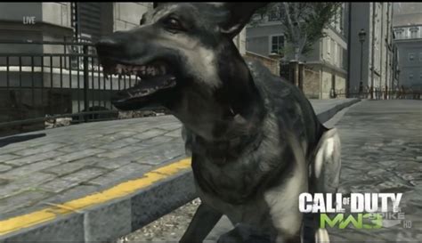Thanks Call Of Duty Dog For Brightening Up A Mostly Dull Xbox Event