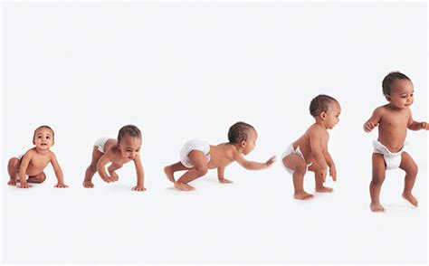 You're modeling healthy behavior by being active every day. When Do Babies Start Walking? - Business Module Hub