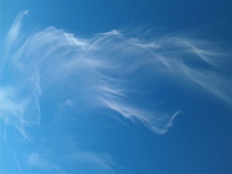 Free Images Sea Ocean Horizon Cloud Sunlight Daytime Cumulus