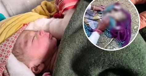 Newborn Baby Rescued After Being Abandoned In A Field Small Joys
