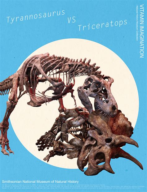 Vitamin Imagination Tyrannosaurus Vs Triceratops By Vitamin Imaigination Feat Smithsonian