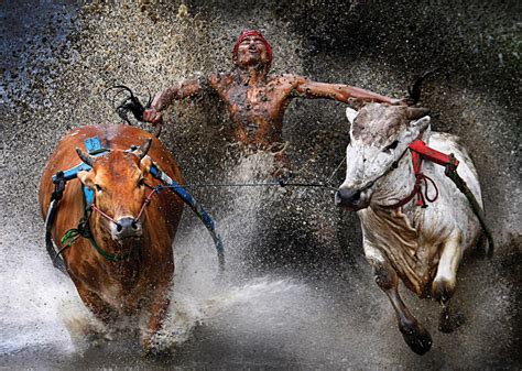 See more ideas about photography logos, logo design, best photography logo. 2013 World Press Photo Contest Winners - Photos - The Big ...