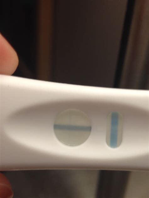 Two Horizontal Lines On Pregnancy Test Quotes Type
