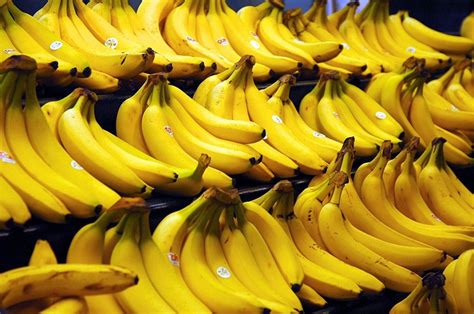 Banana Extinction May Occur Due To Invasive Strain Of Soil Borne Fungus