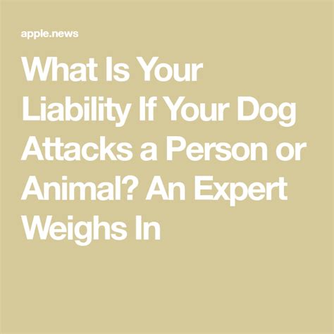 What Is Your Liability If Your Dog Is Involved In An Dog Attack An