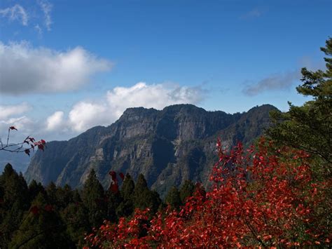 Alishan Mountain Taiwan Photo Gallery