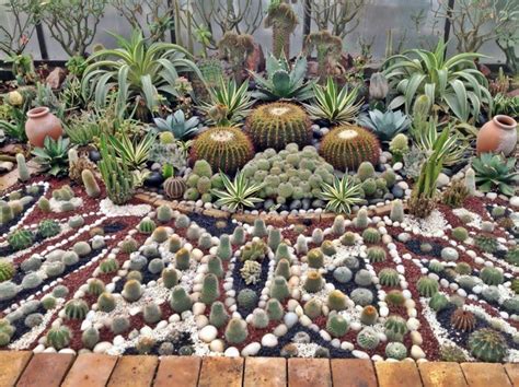 La rebutia es un cactus de flor que puede cultivarse fácilmente y que comienza a florecer muy joven y lo hace de manera abundante. Paraisos de cactus en Jardines | Jardín de cactus ...