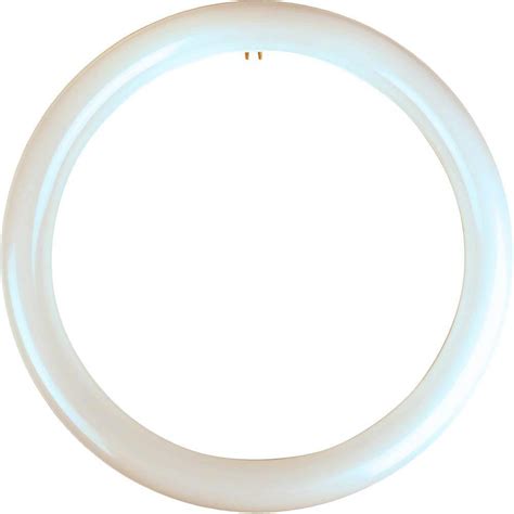 Meridian 32 Watt Equivalent Cool White T9 Circline Non Dimmable Led