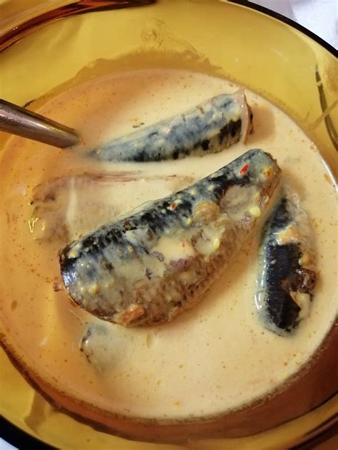 Berikut dirangkum brilio.net dari berbagai sumber di instagram pada senin (27/7), delapan resep olahan ikan tenggiri yang enak dan mudah. Resepi Ikan Tenggiri Sedap - Liga MX b