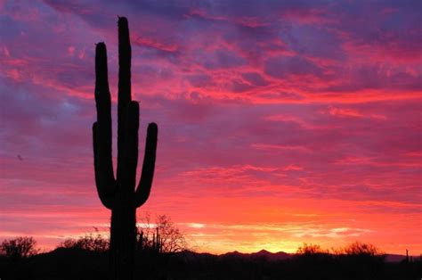 Free Download Arizona Sunset Pictures 1280x851 For Your Desktop