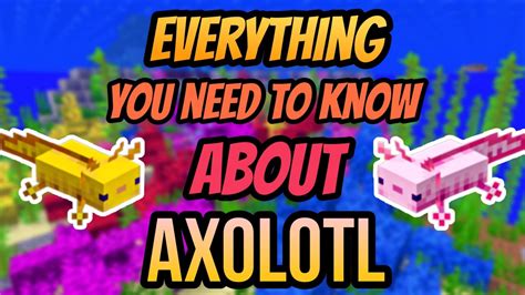 Everything You Need To Know About Axolotl Caves And Cliffs Update Mcpe