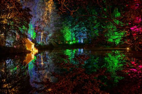 Wallpaper Trees Colorful Forest Night Lake Reflection Jungle