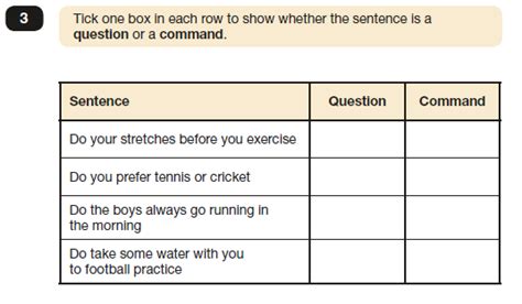 Whats New In The 2019 Ks2 Sats English Spag Paper 1 — Stp Books