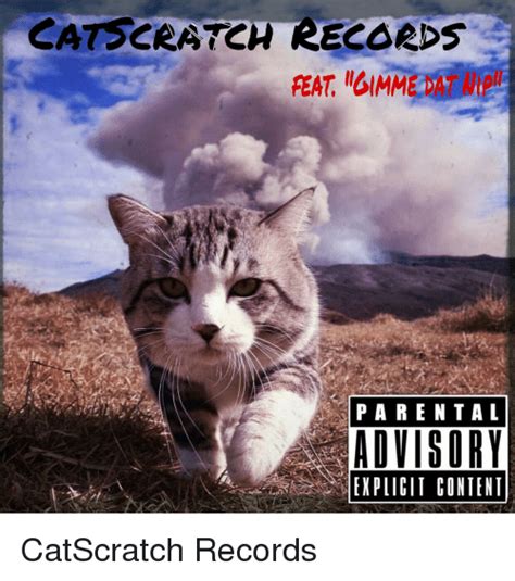 Check out our scratch cat selection for the very best in unique or custom, handmade pieces from our birthday cards shops. CAT CRATCH RECORD P a REN TAL ADVISORY CatScratch Records | Funny Meme on SIZZLE