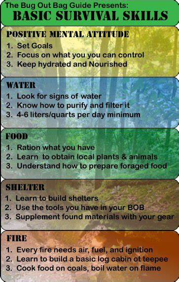 Basic Survival Skills The Bug Out Bag Guide