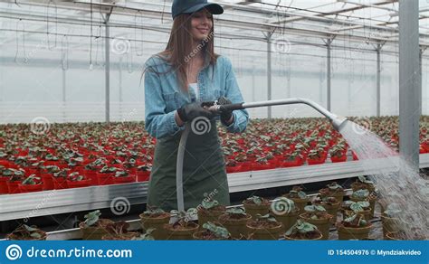 Happy Female Gardener Waters Plants And Flowers With A Hosepipe In