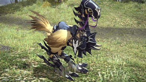 You should have completed the level 20 story quest 'hero in the making'. Princess Tepe Blog Entry "Rank 10 Chocobo" | FINAL FANTASY XIV, The Lodestone